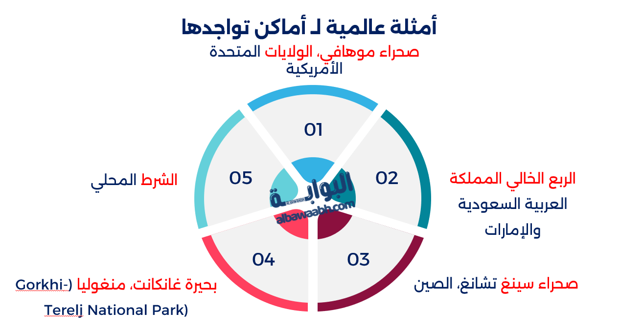 الرمال التي تغني