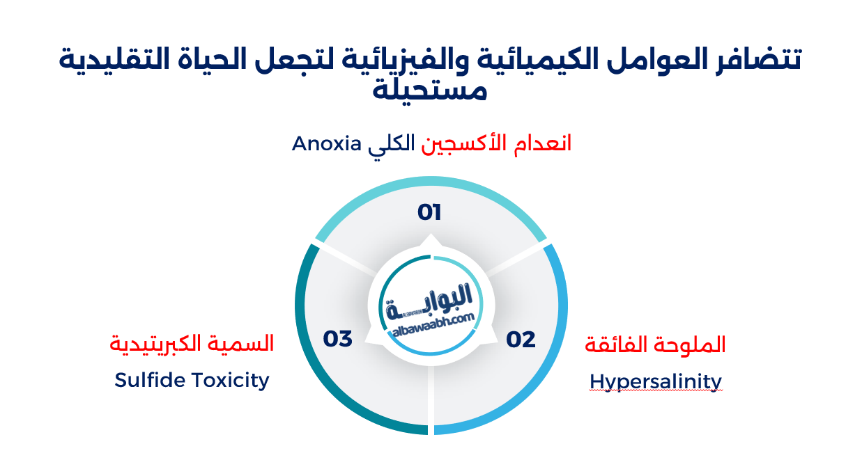 كائنات بلا أكسجين