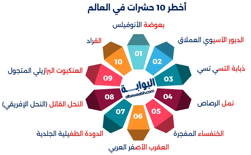 أغرب الحشرات في العالم