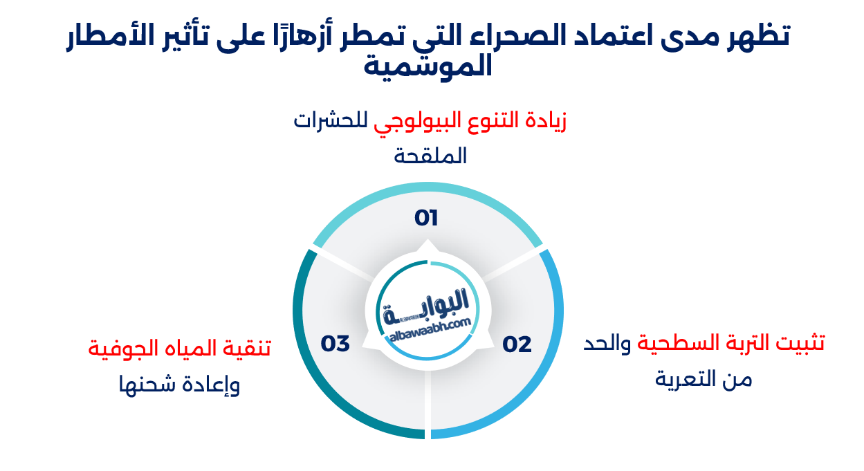 الصحراء التي تمطر أزهارًا