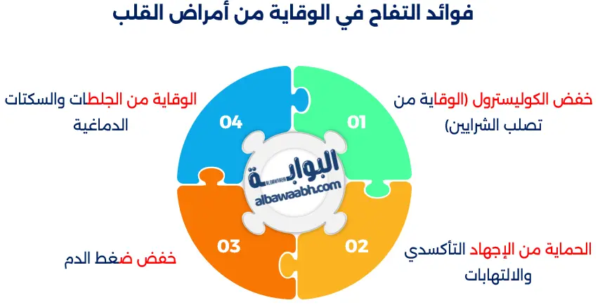فوائد التفاح لصحة الجسم