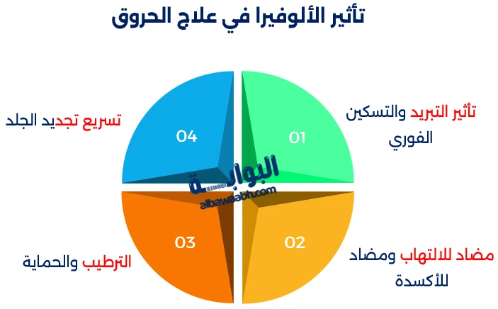 فوائد نبات الألوفيرا (الصبار)
