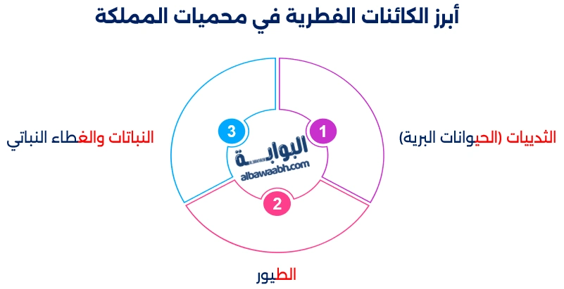 السياحة البيئية في السعودية 