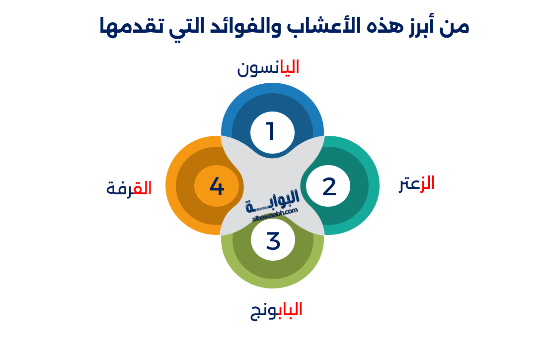 استخدام الأعشاب الطبية لعلاج الزكام