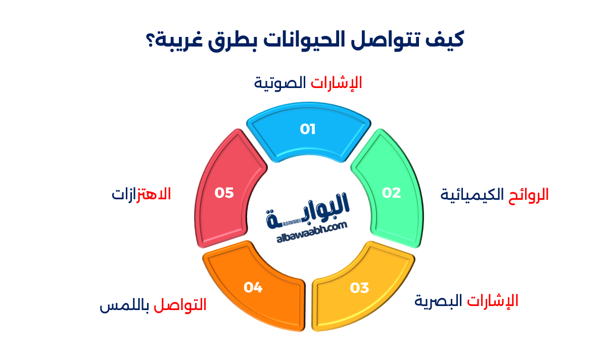 أغرب طرق التواصل بين الحيوانات