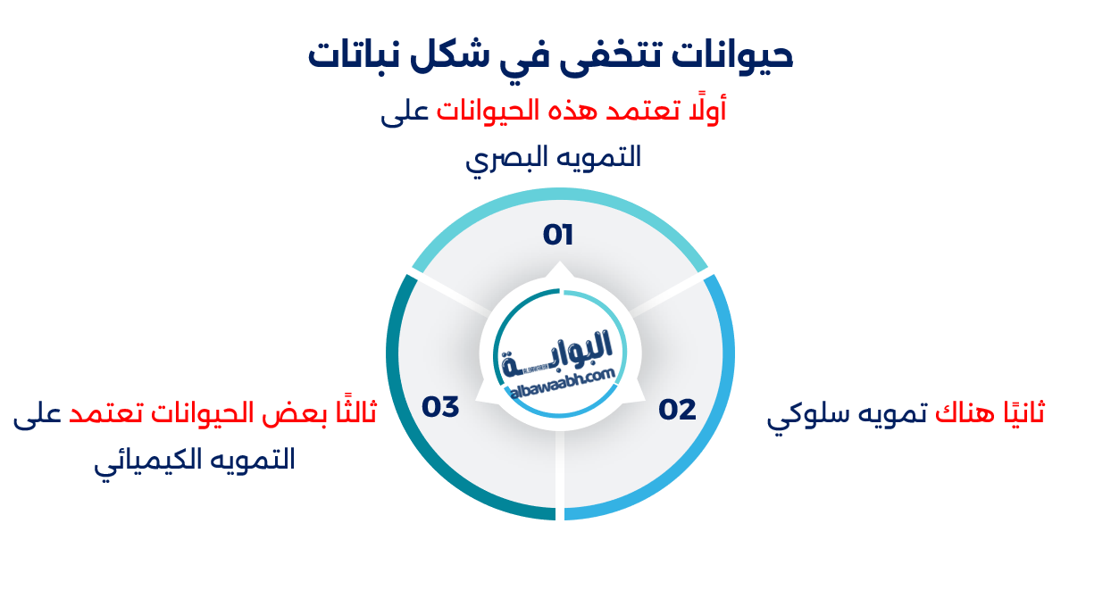 الحيوانات التي تشبه النباتات