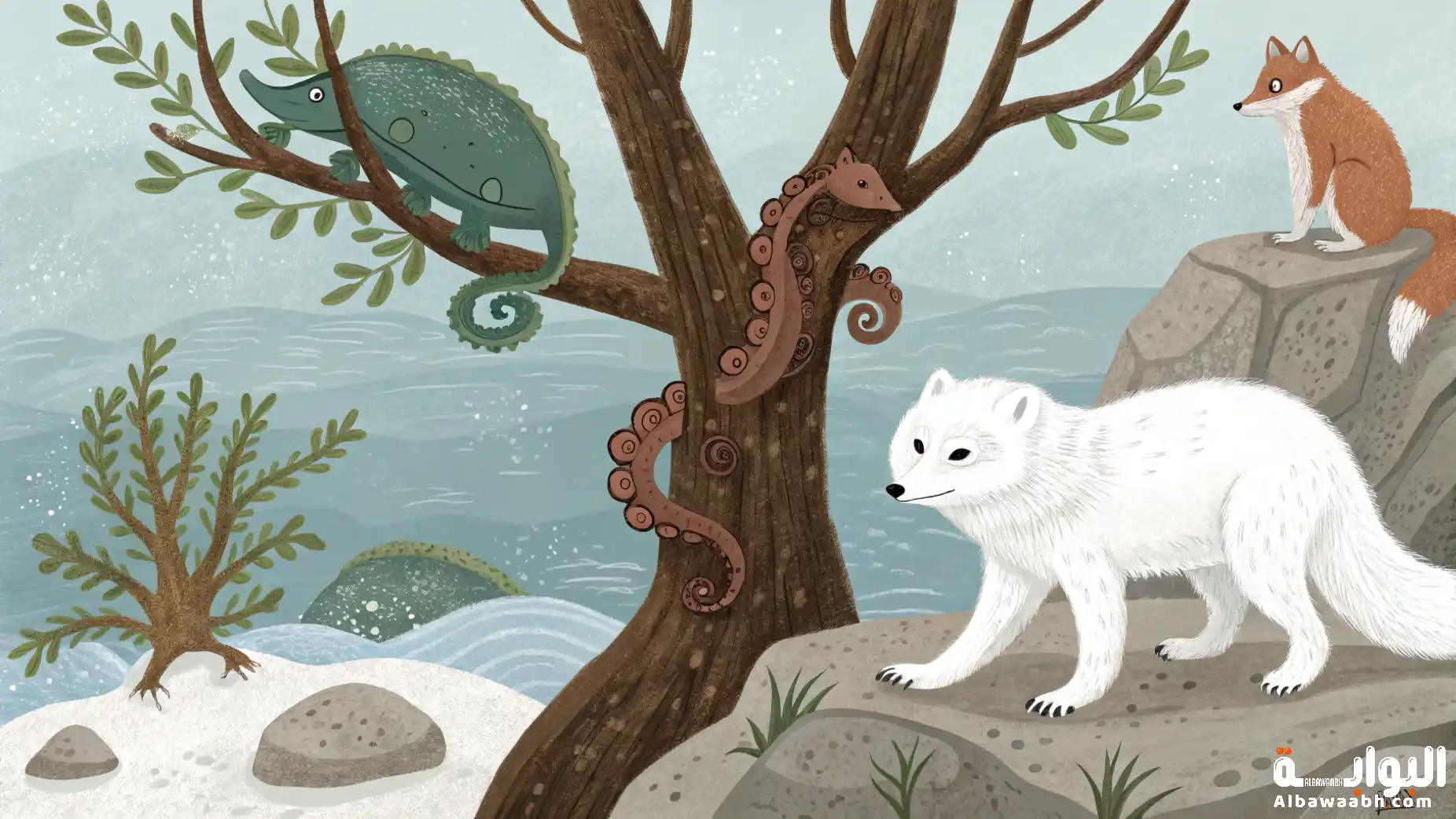 الحيوانات التي تغير لونها