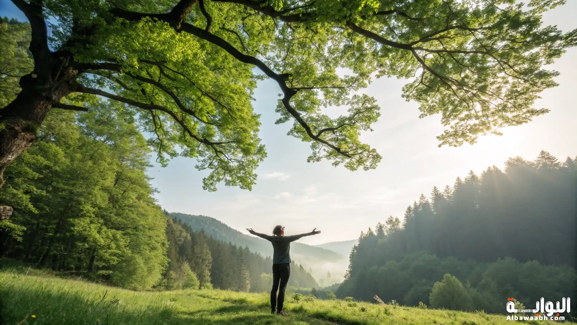 حكم عبد الرحمن منيف عن الحرية