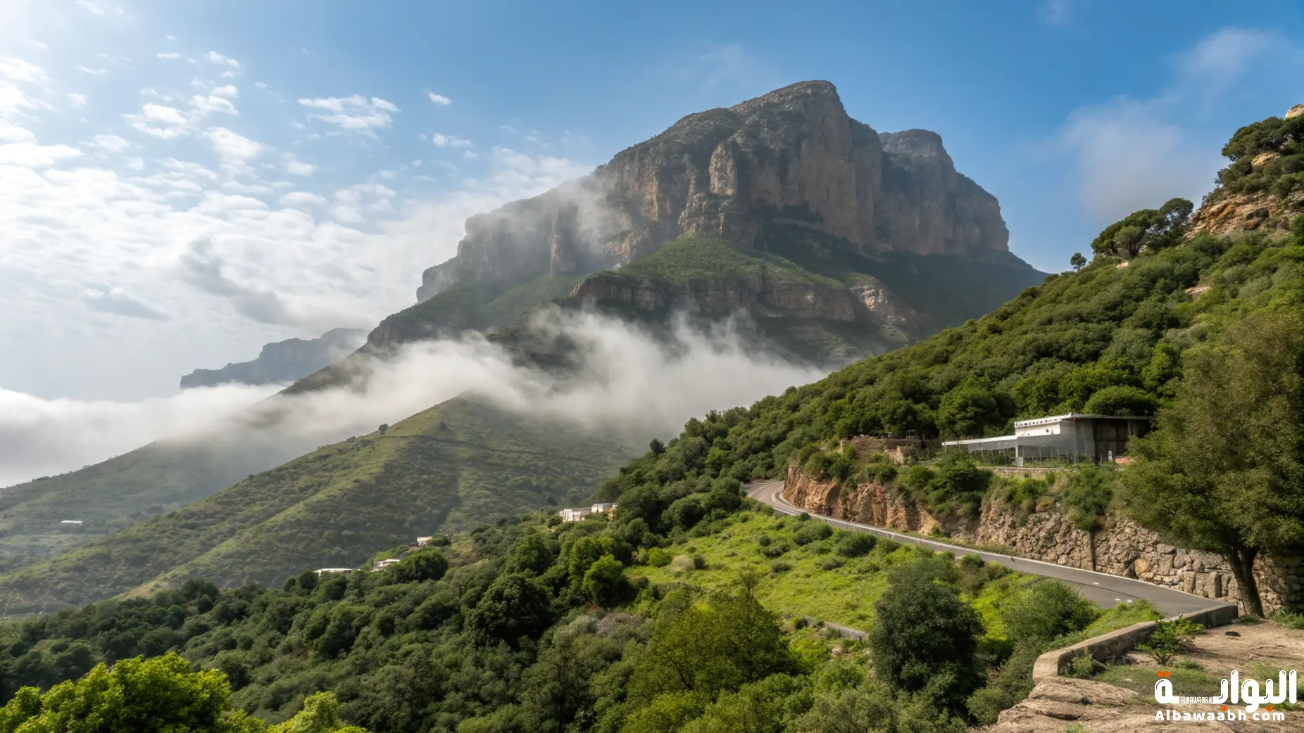 مناطق الطبيعة الخضراء في السعودية