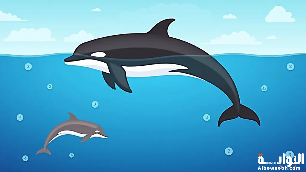 الفرق بين الحوت والدلفين