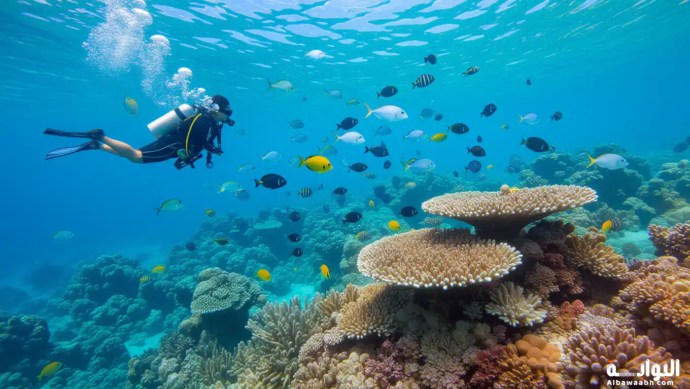 أهم الوجهات البحرية في المملكة