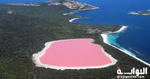 أغرب المواد الطبيعية على الأرض