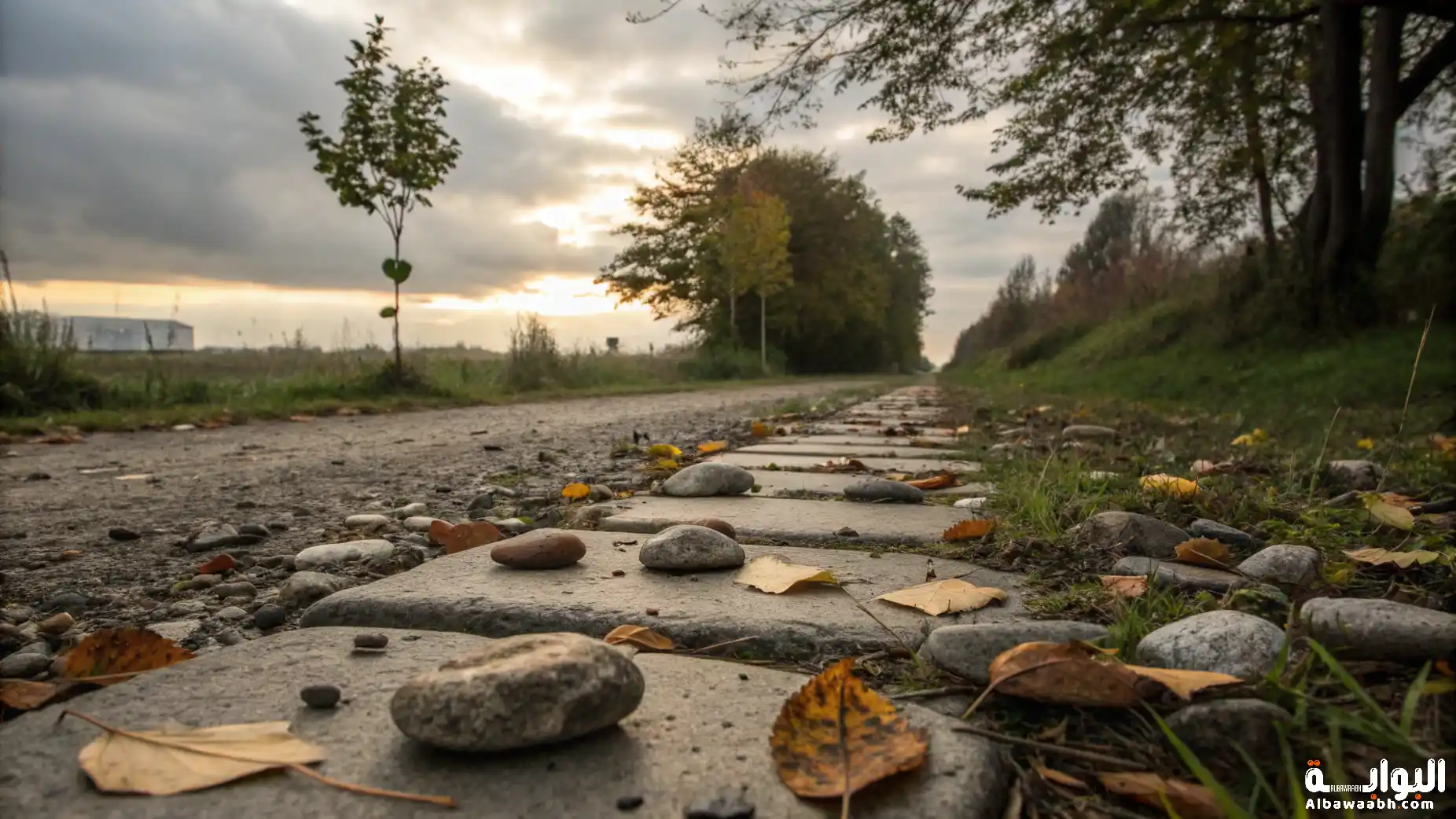 حكم وأقوال عن الفشل والتجارب