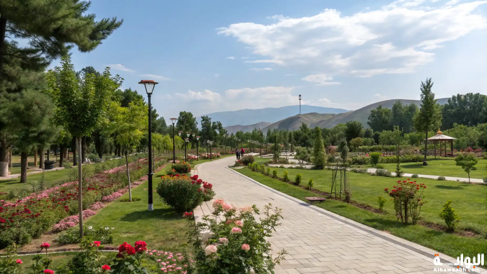 مناطق الطبيعة الخضراء في السعودية