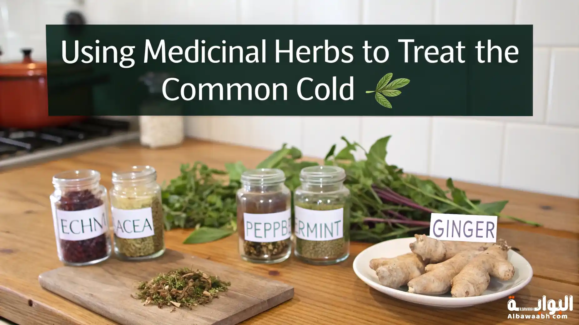 استخدام الأعشاب الطبية لعلاج الزكام