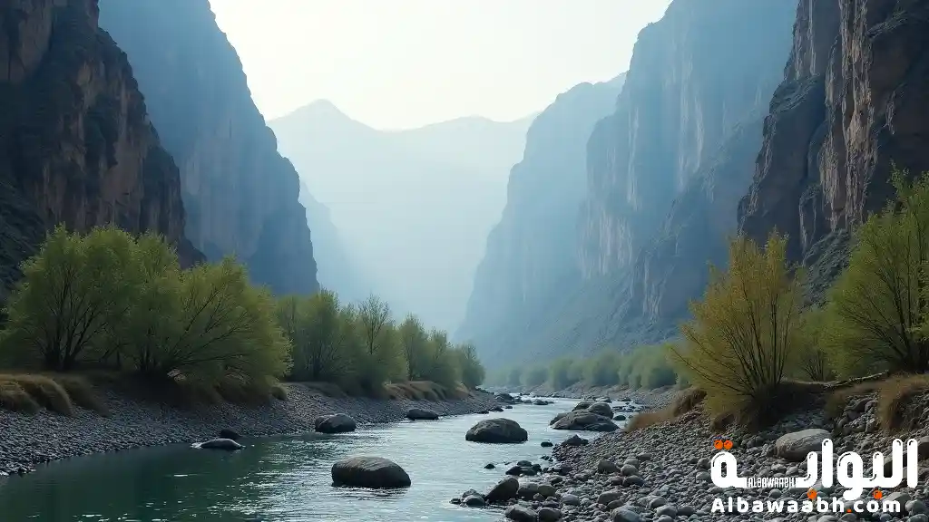 وجهات شتوية رائعة في السعودية