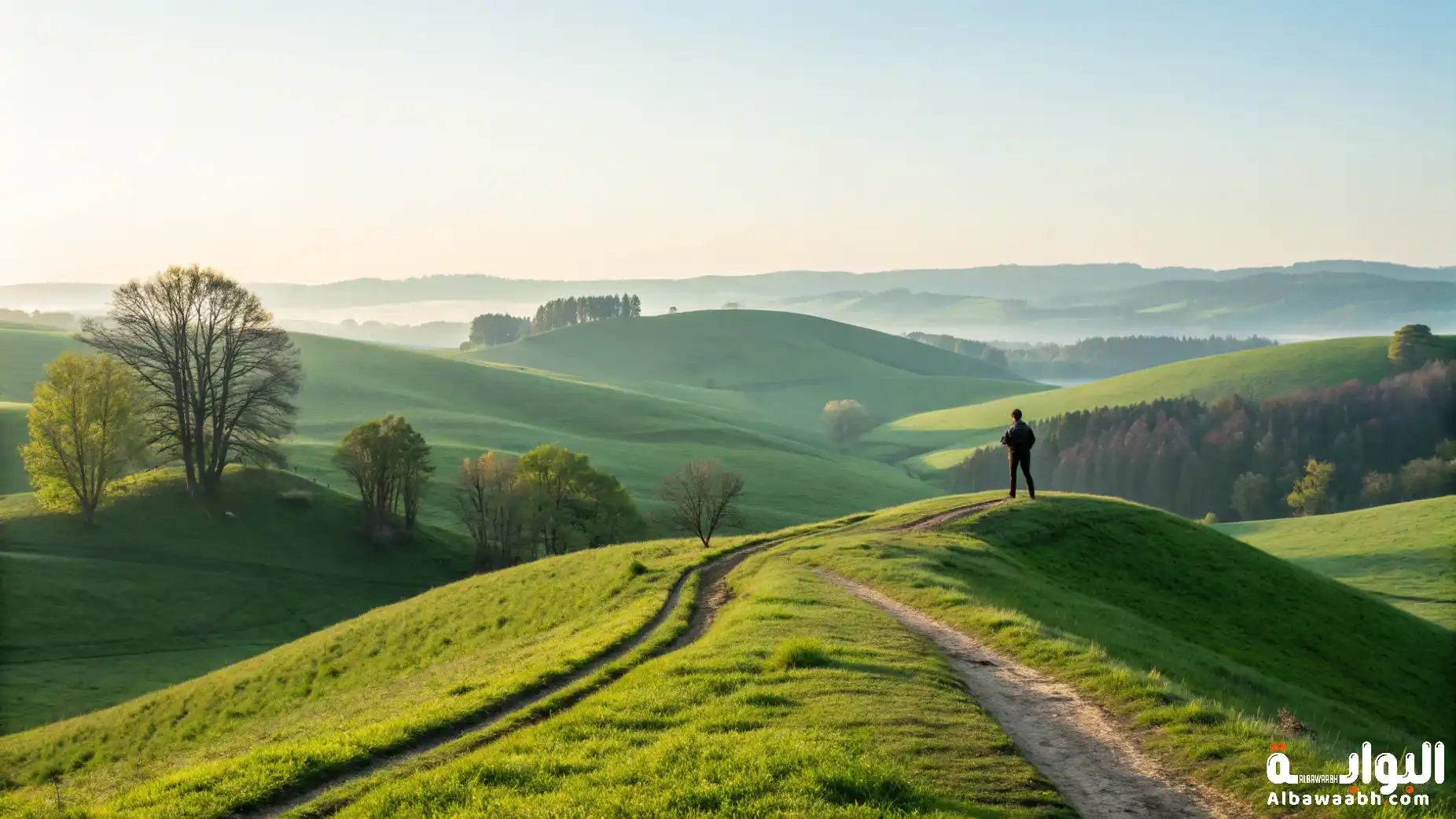 حكم عبد الرحمن منيف عن الحرية