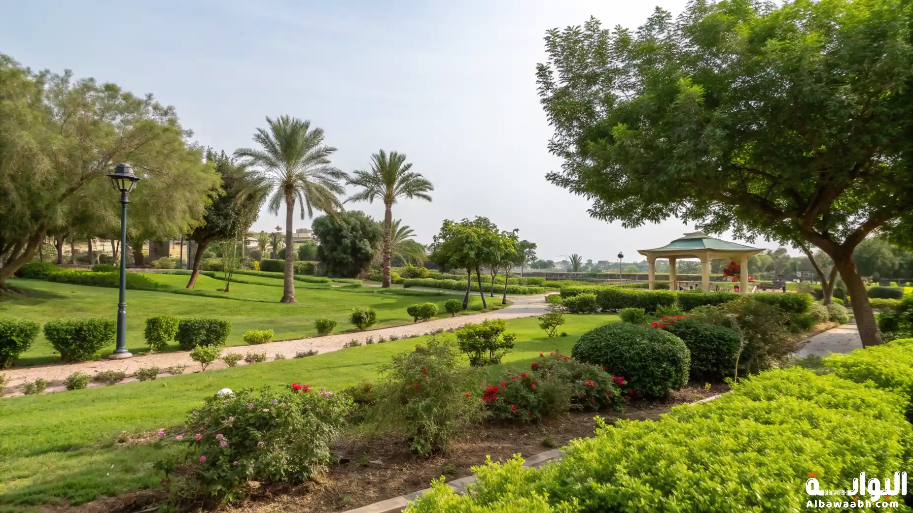 مناطق الطبيعة الخضراء في السعودية