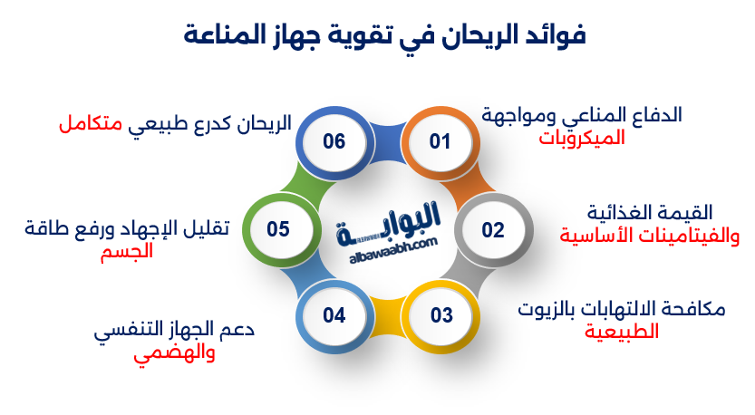 الفوائد الطبية للريحان