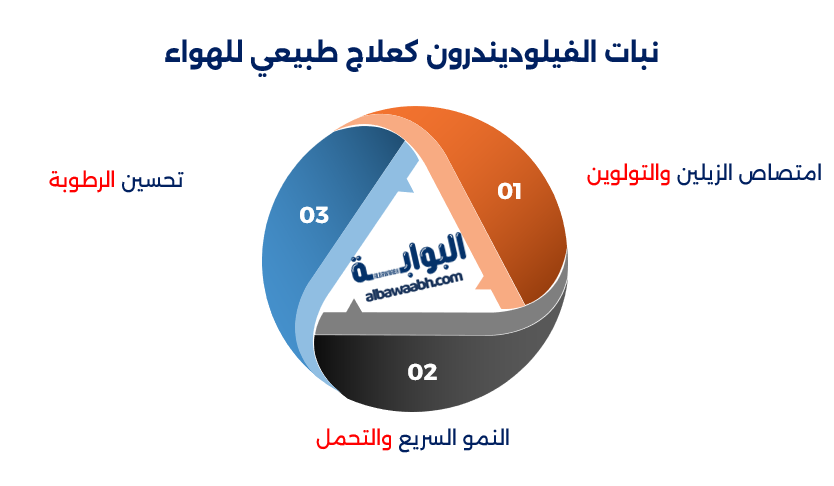 النباتات الداخلية