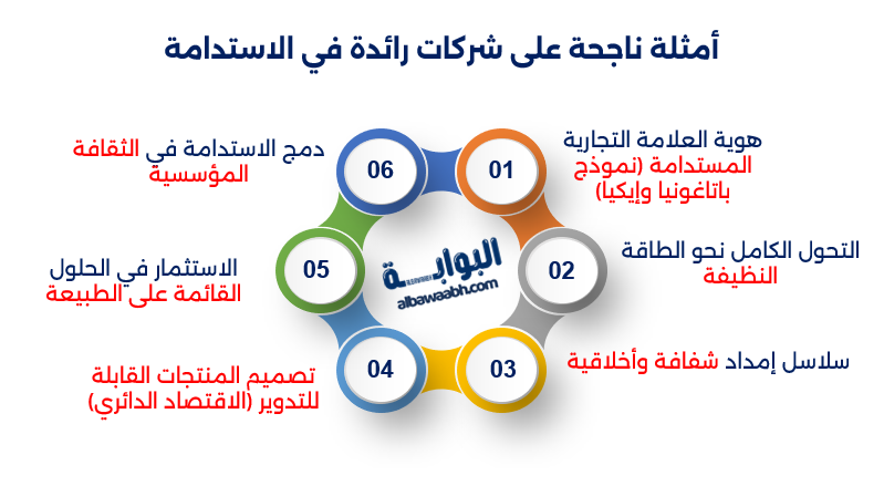 استراتيجيات الاستدامة في الشركات