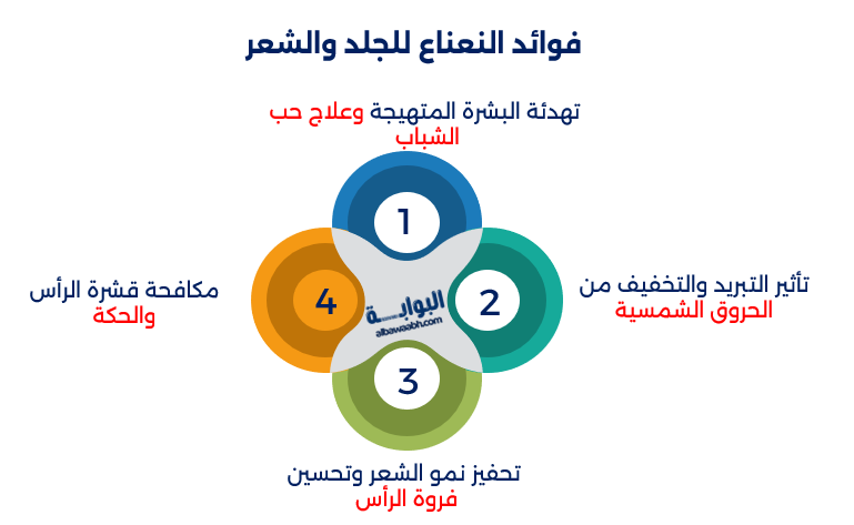 الفوائد الصحية للنعناع