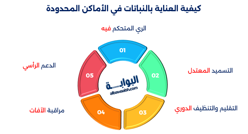 النباتات المناسبة للمساحات الصغيرة