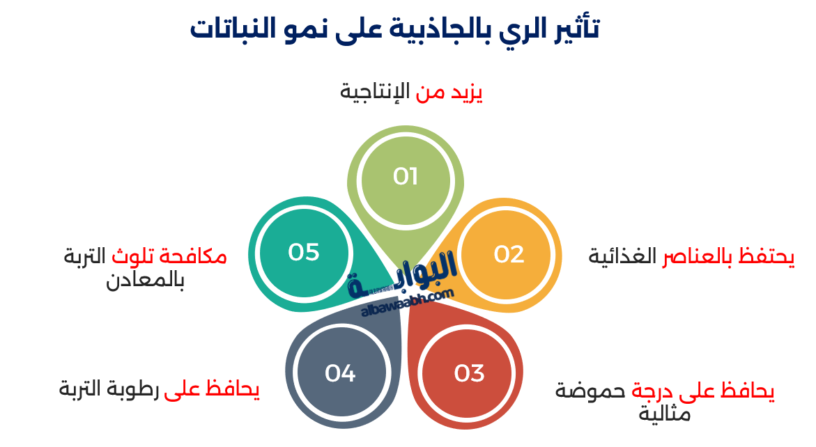 فوائد الري بالجاذبية للنباتات