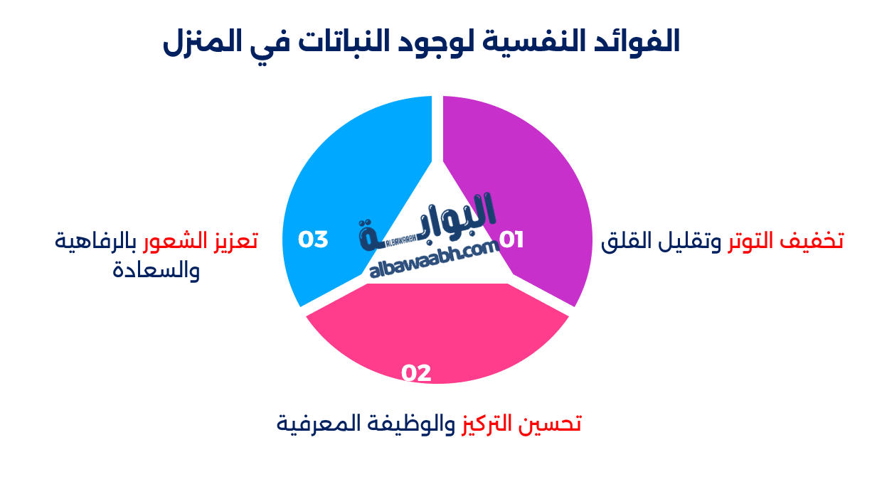 تأثير النباتات على تحسين التركيز والإنتاجية