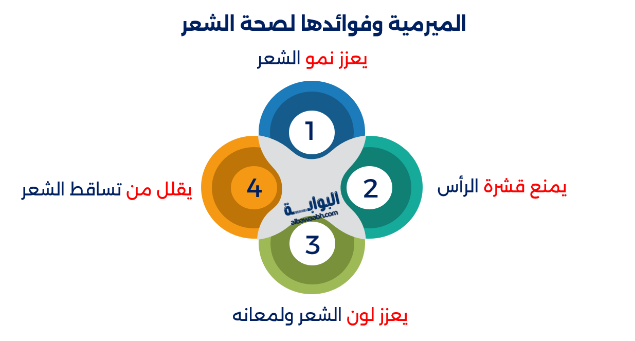 فوائد الميرمية للصحة