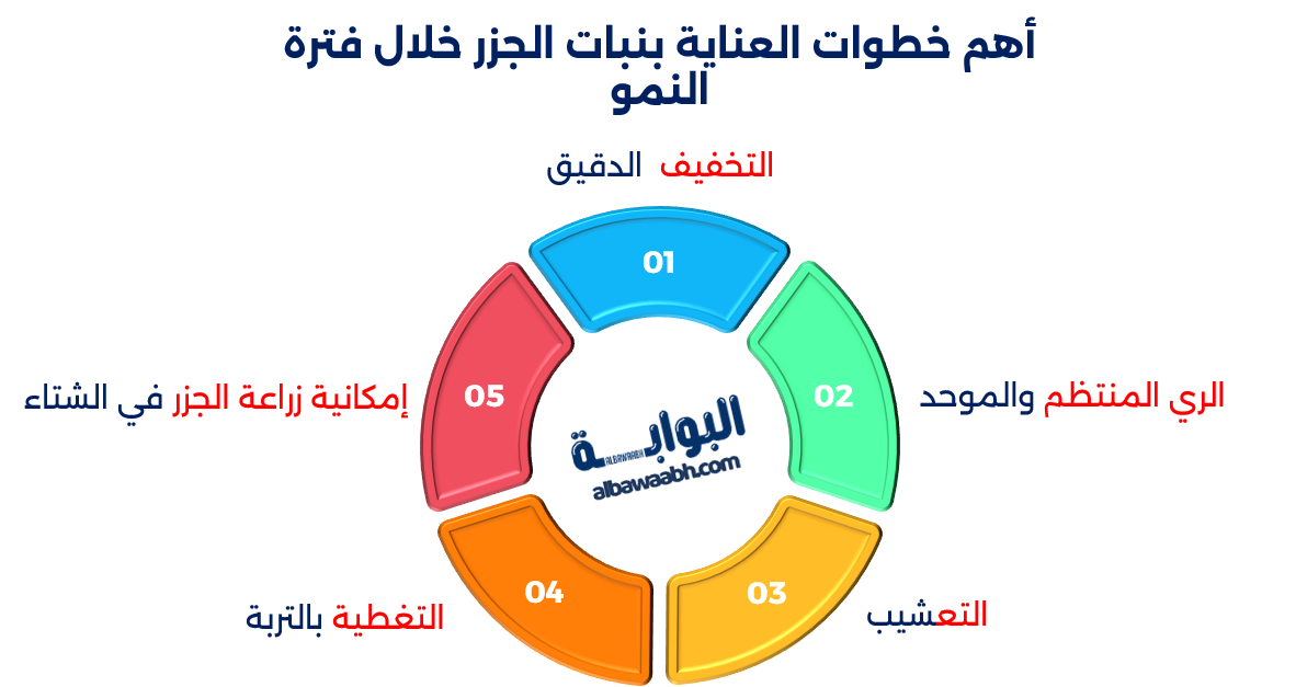 كيفية زراعة الجزر في الحديقة