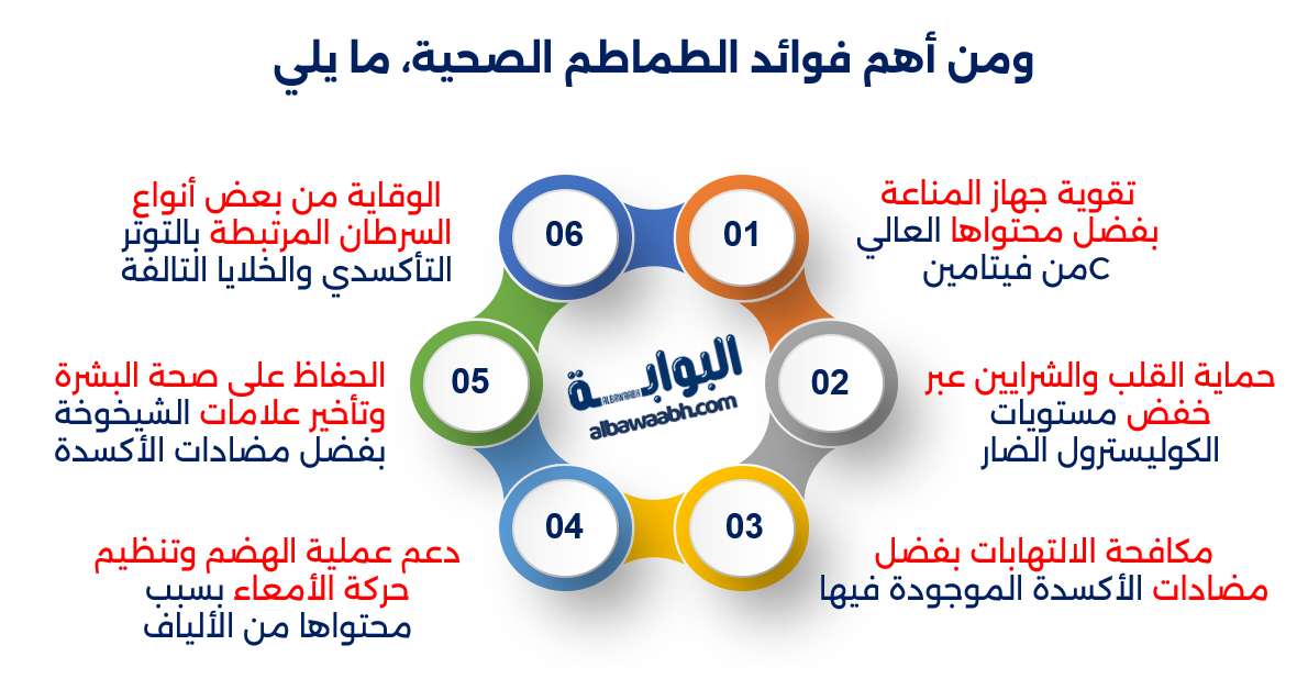 زراعة الطماطم في حديقة المنزل