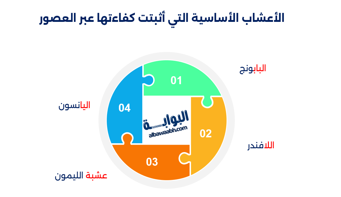 الطب الشعبي لعلاج مشاكل النوم