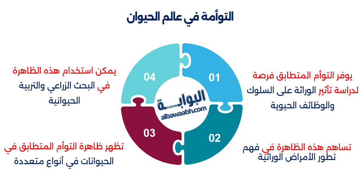 ظاهرة التوأم المتطابق في الحيوانات