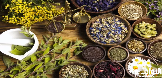 أهمية الأعشاب في علاج أمراض النساء