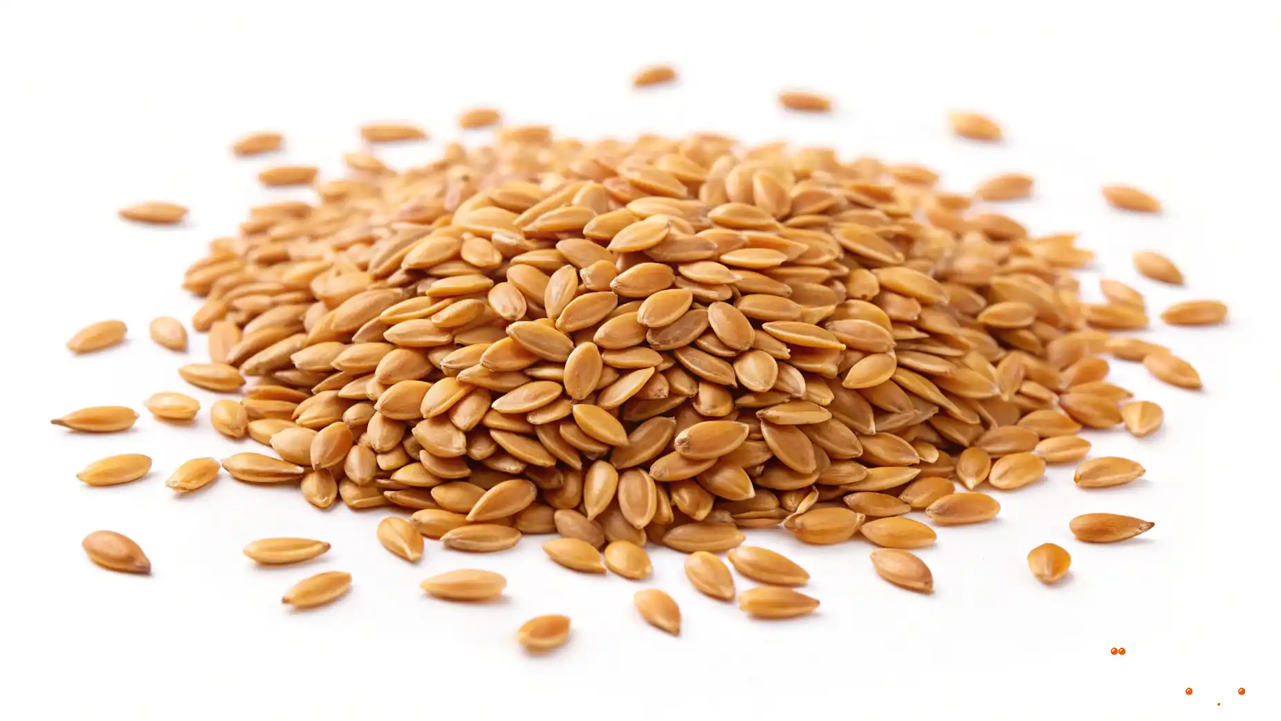 فوائد بذور الكتان للصحة