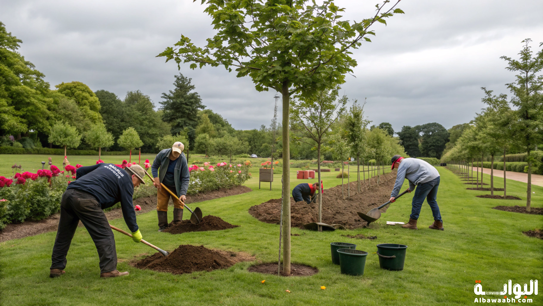زراعة الأشجار المثمرة في الحديقة
