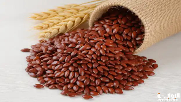 فوائد بذور الكتان للصحة