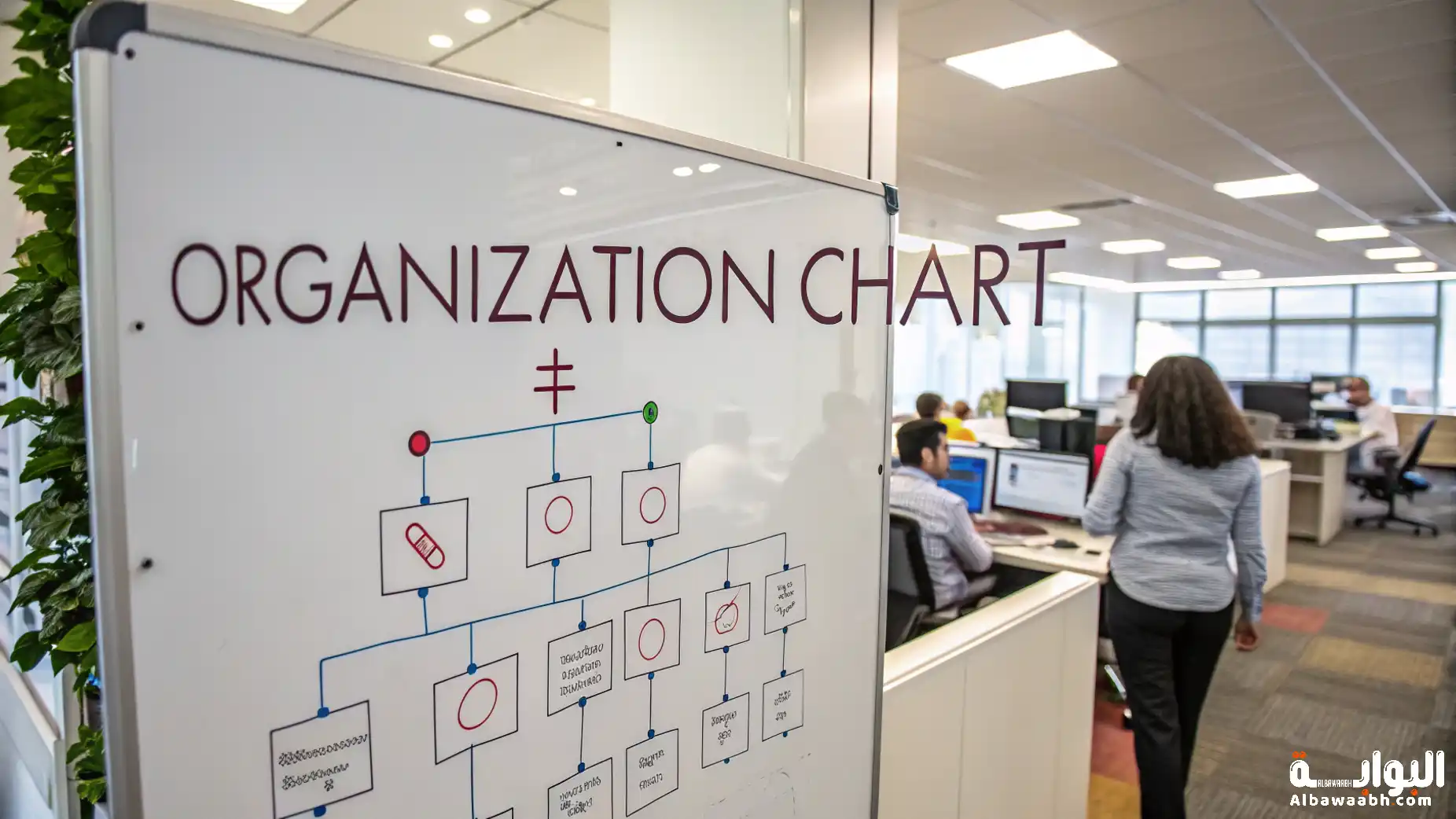 الهيكل التنظيمي للشركات