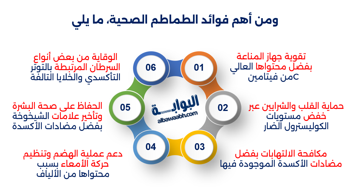 زراعة الطماطم في حديقة المنزل