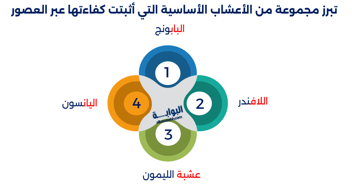 الطب الشعبي لعلاج مشاكل النوم