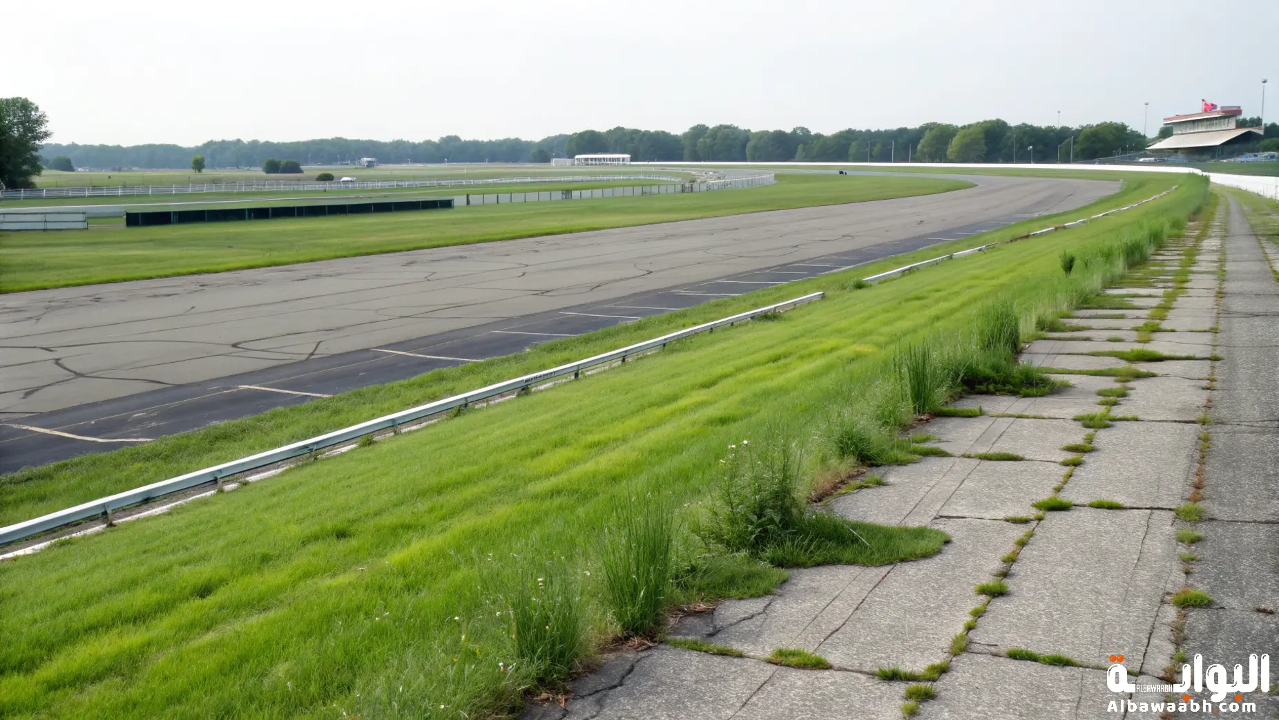 فوائد الحلبة في علاج الأمراض