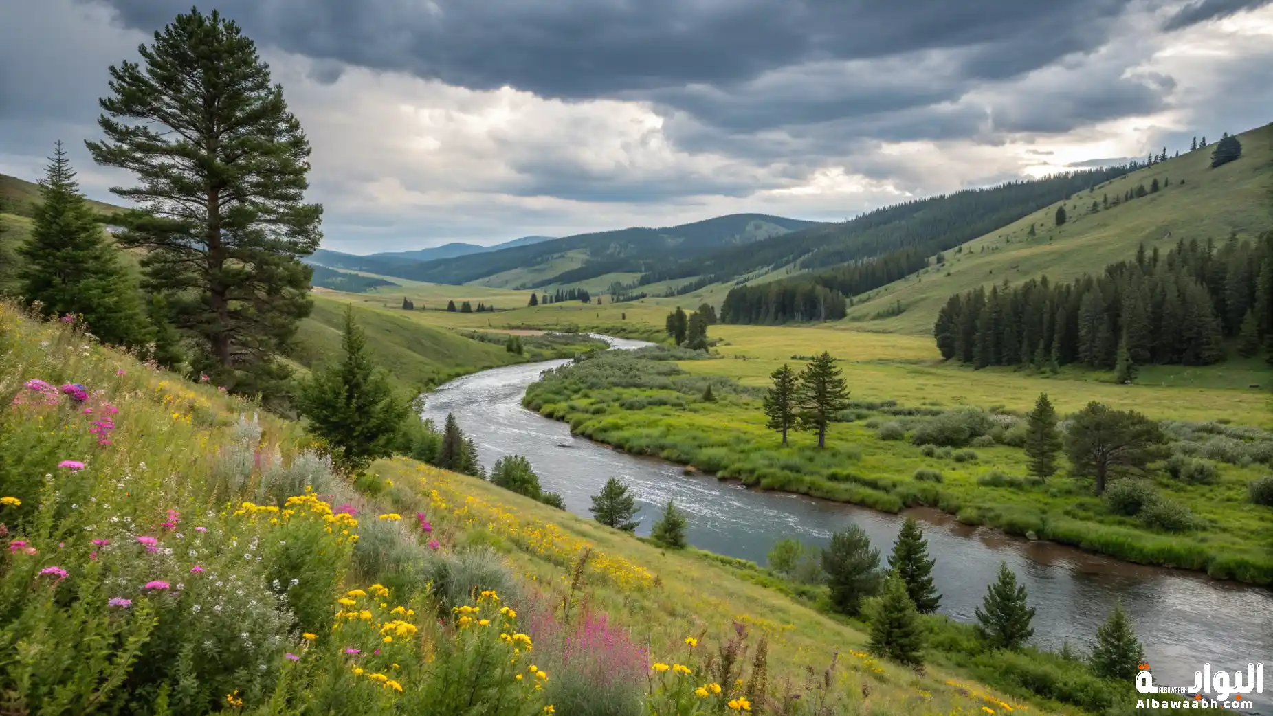 خواطر عن الطبيعة