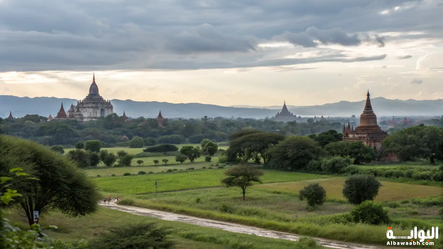 خواطر عن الوطن