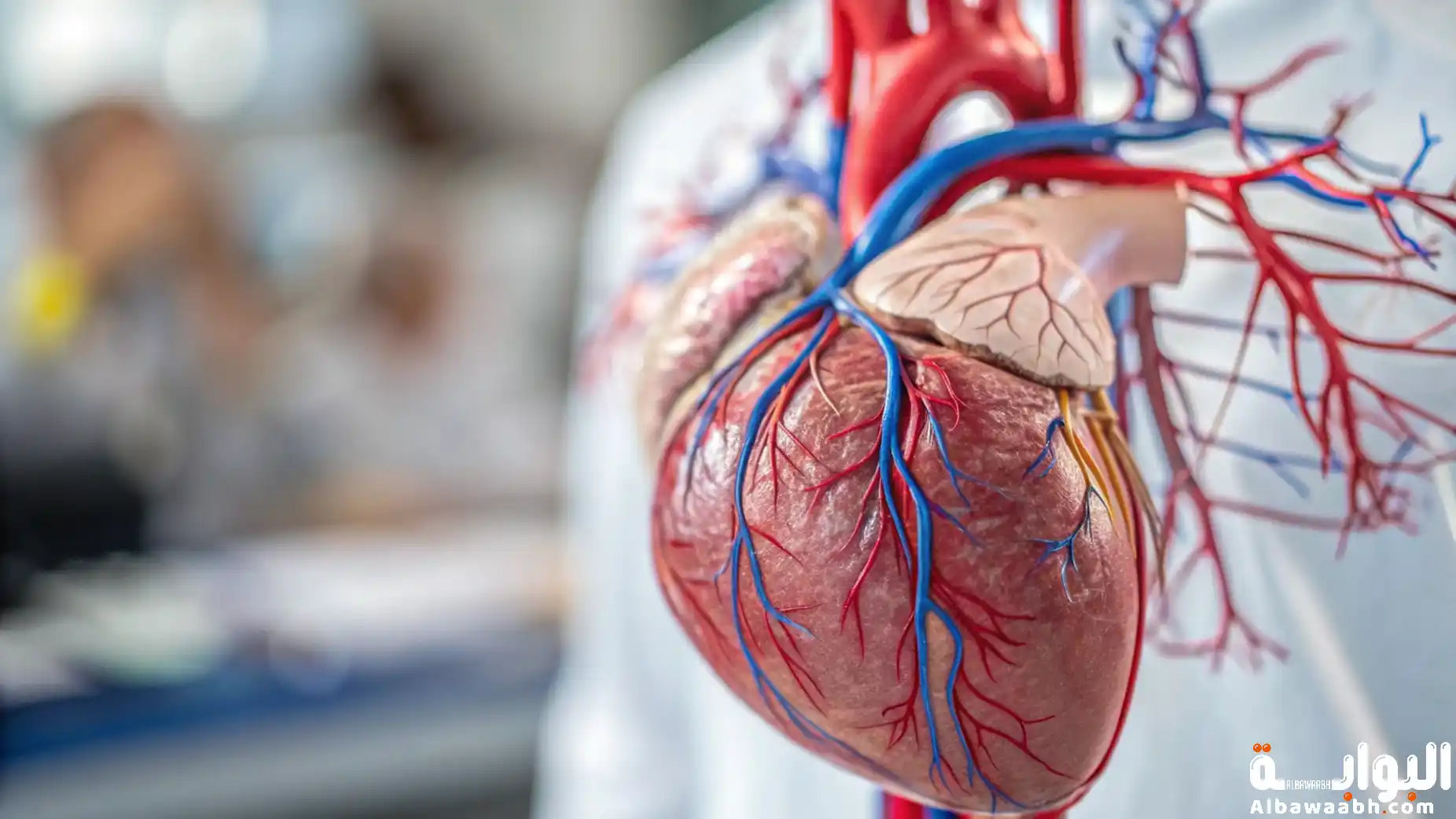 كيف أحافظ على صحة القلب والشرايين بعد سن الـ40