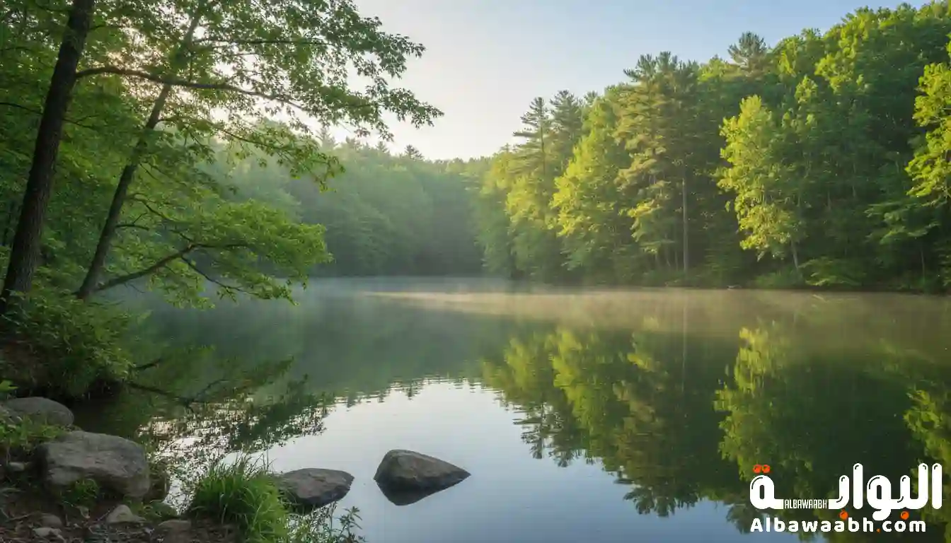 طريقة علاج القلق والتوتر المستمر بدون أدوية