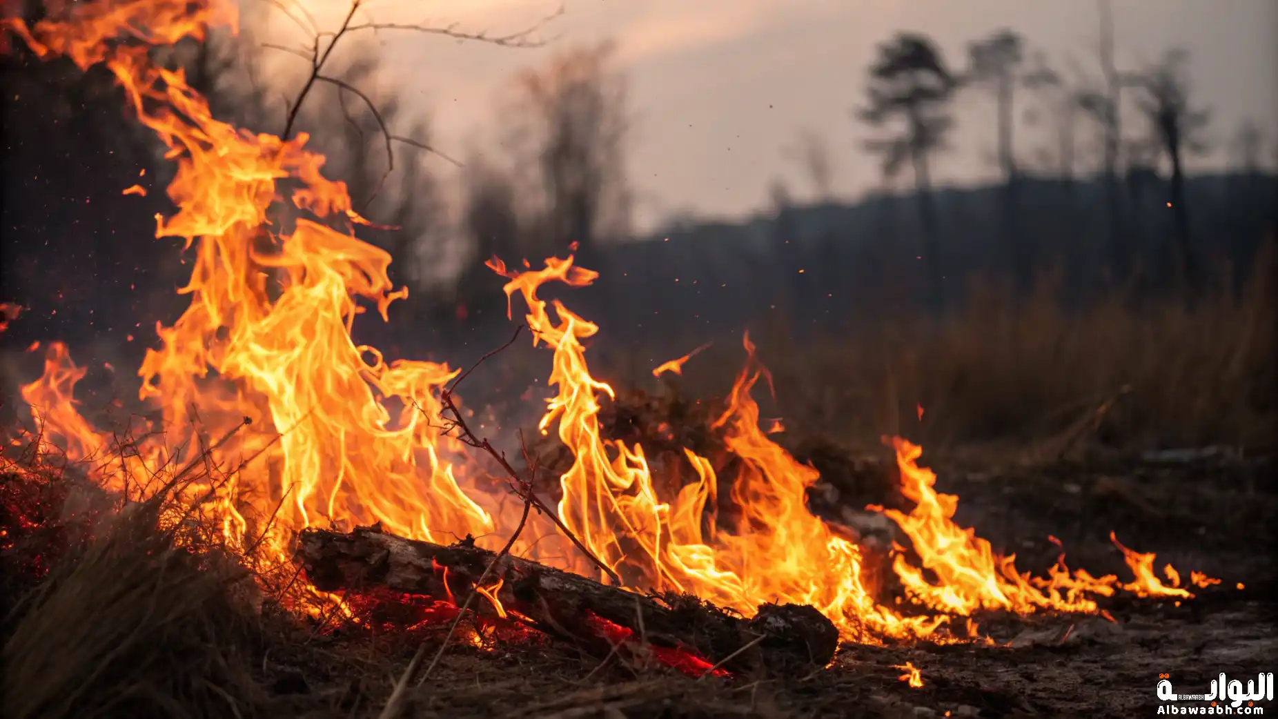 خواطر عن النار