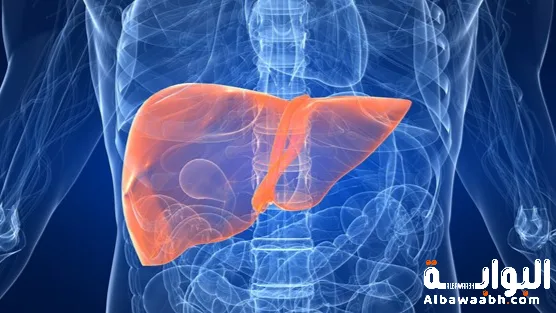 أعراض دهون الكبد المبكرة ومتى أعمل تحاليل كبد