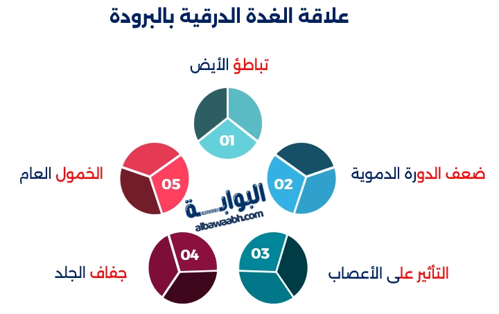 أسباب الشعور بالبرد الدائم رغم ارتداء ملابس كافية