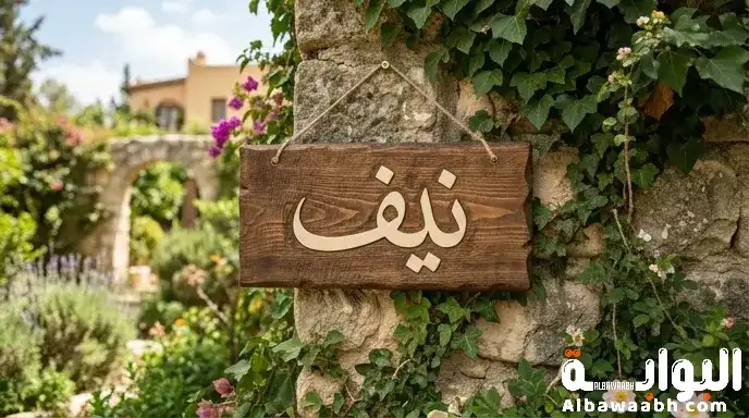 اسم نيف: سحر الأسماء الأيرلندية الصعبة